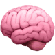 Brain icon